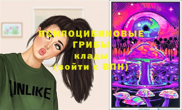 скорость Арсеньев